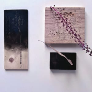 Vegetal Matters by Nina Fraser 