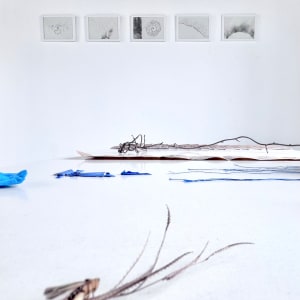 Vegetal Matters by Nina Fraser 