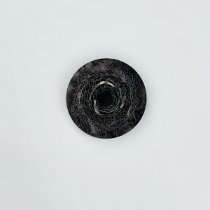 Vegetal Matters by Nina Fraser 