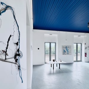 Vegetal Matters by Nina Fraser 