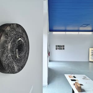 Vegetal Matters by Nina Fraser 
