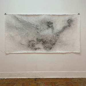 Entre raízes by Nina Fraser, Image 4.