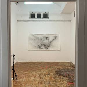 Entre raízes by Nina Fraser, Image 3.