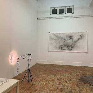 Entre raízes by Nina Fraser, Image 2.
