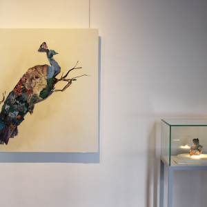 'TAXIS DERMA', Museum of National Science & History (Lisbon, Portugal) 2019 by Nina Fraser 