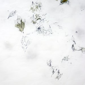 Winter leaves (folhas de inverno) by Nina Fraser 