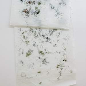 Winter leaves (folhas de inverno) by Nina Fraser