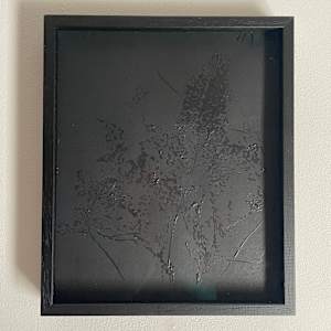 Leaves in black by Nina Fraser 