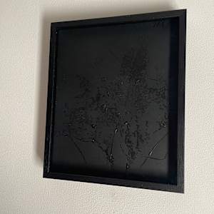 Leaves in black by Nina Fraser 