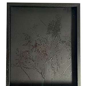 Leaves in black by Nina Fraser 