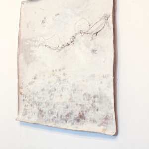 hyphae by Nina Fraser 