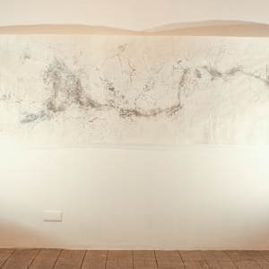Untitled (uprootedness) by Nina Fraser 