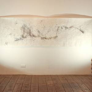 Untitled (uprootedness) by Nina Fraser