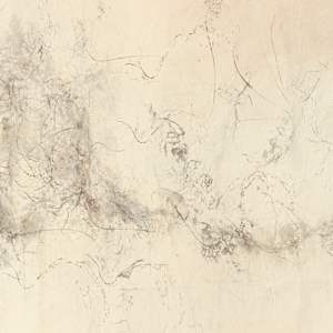 Untitled (uprootedness) by Nina Fraser 