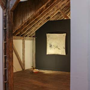 Deliquesce exhibition by Nina Fraser 