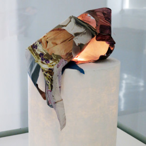 Taxis Derma II by Nina Fraser 