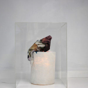 Taxis Derma II by Nina Fraser 