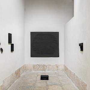 Leaves in black by Nina Fraser 