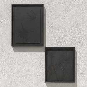 Leaves in black by Nina Fraser 