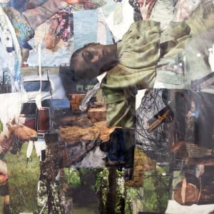 Caught up in the field by Nina Fraser 