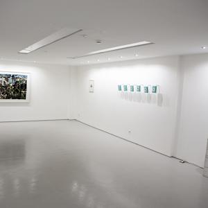 Sublime by Nina Fraser, Image 9.