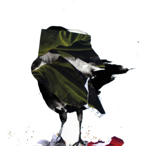 Crow by Nina Fraser, Image 3.