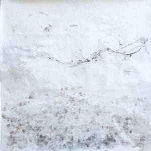 hyphae by Nina Fraser 