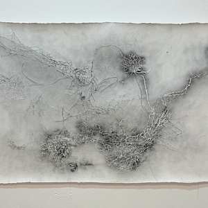 Entre raízes by Nina Fraser, Image 7.