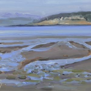 Silver Ribbons at Low Tide by Liesel Lund