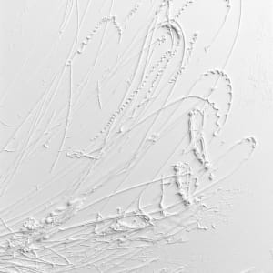 Dragonfly by Joanna  Touma Art 