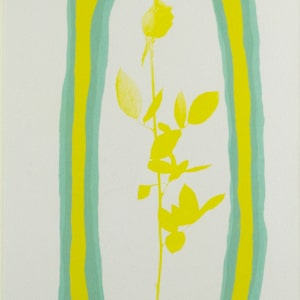 Yellow Rose In A Pea Pod by Vivian Bergenfeld