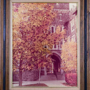 Untitled, Corr Hall Entrance In Fall by John H. Ansley