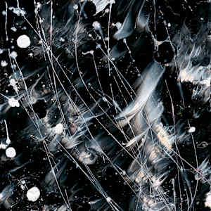 BUTTERFLY 9 - Butterfly Series by Bridget Bradley