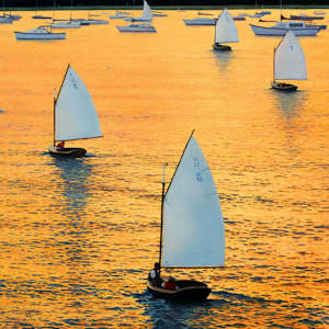 Golden Sail by David Kooharian