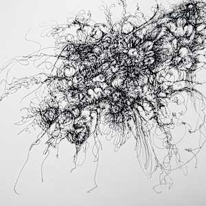 Bouquet of the Sea by Darcy Johnson, Image 1.