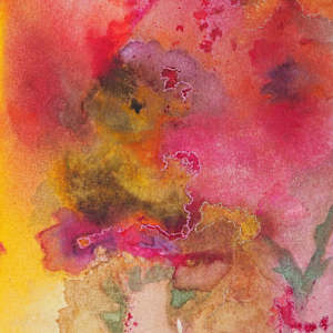 Orchid and Wild Roses by Rebecca Sobin