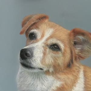 Lilly by Lorraine Pichugin