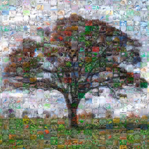 Tree of Life by Mary Close Oppenheimer