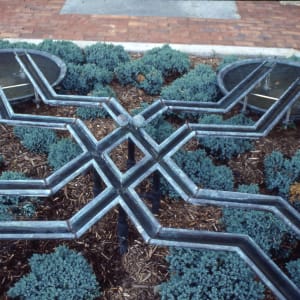 "Water Strider Garden" by David Phillips
