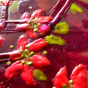 Spring blossom 6 by Sally Bramble 