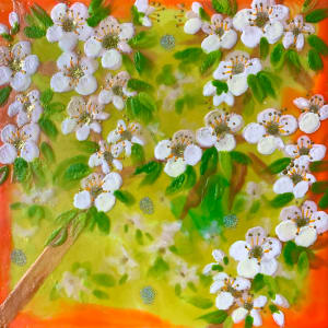 Spring Blossom 33 by Sally Bramble
