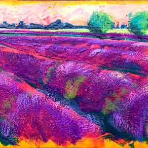 Light Across the Lavender by Sally Bramble