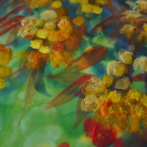 Berberis by Sally Bramble 