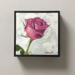 Pink Rose by Cary Galbraith 