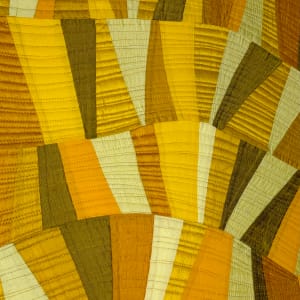 Field of the Cloth of Gold by Lorraine Woodruff-Long 