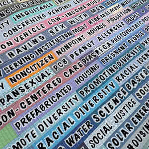 Forbidden Words by Lorraine Woodruff-Long, Image 6.