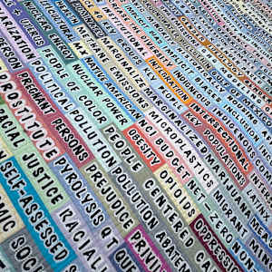 Forbidden Words by Lorraine Woodruff-Long, Image 4.