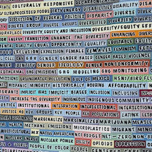 Forbidden Words by Lorraine Woodruff-Long, Image 3.