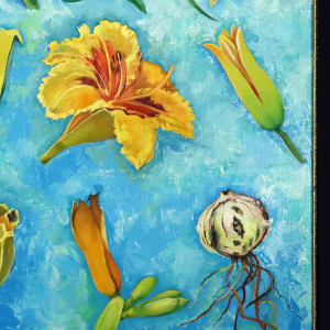 Lily Season by Catherine Twomey 