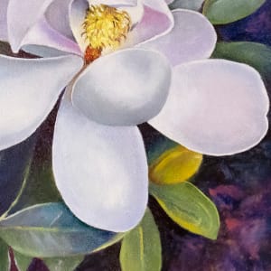 Magnolia Bobby's Tree by Catherine Twomey 